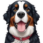 Bernese écosse sticker
