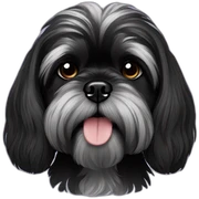 black shih tzu sticker