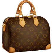 Louis vuitton bag sticker