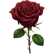 Pretty Dark Red Rose sticker