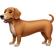 perro salchicha sticker