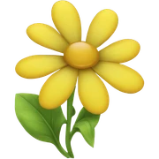 Yellow 
 sticker