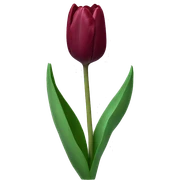 Single burgundy tulip sticker