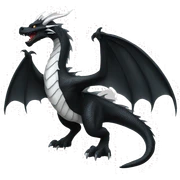 Black dragon white dragon sticker
