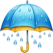 Rain sticker