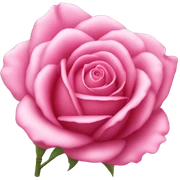 Pink rose  sticker