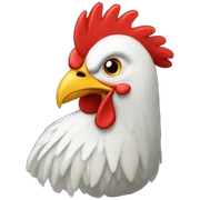 Gallo sticker