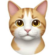 cat sticker