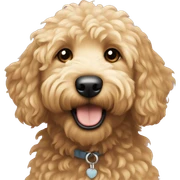 Mini golden doodle  sticker