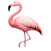 Flamingo  sticker