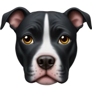 Black pitbull  sticker