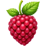 raspberry  sticker