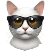 Cat with sunglasses sticker