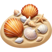 Seashells  sticker