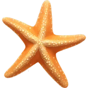 Starfish sticker