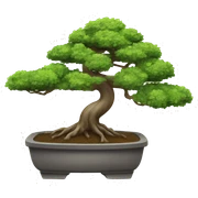 Bonsai tree sticker
