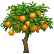 Orange Tree sticker