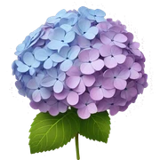 hydrangeas sticker