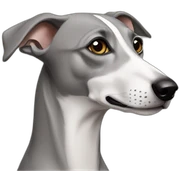 Whippet sticker
