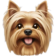 Yorkshire terrier sticker