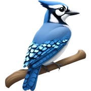 Blue jay sticker
