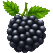 blackberry sticker