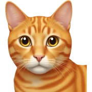 Orange cat  sticker