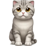 scottish fold cat sticker