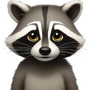 raccoon sticker