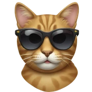 Cat with sunglasses sticker