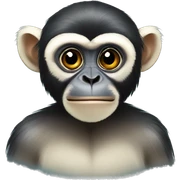 Langur sticker