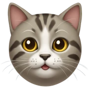 cat sticker