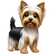  parti yorkie sticker