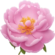Peony sticker