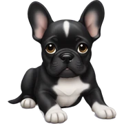 Black Frenchie puppy sticker