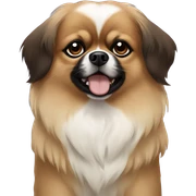 Tibetan Spaniel. It has a brown face, large black eyes, and its fur is white and fluffy. sticker