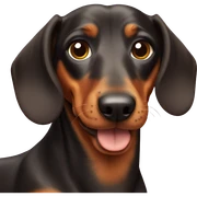 Dachshund  sticker