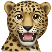 Leapord sticker