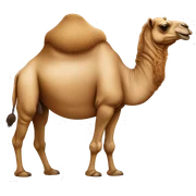 camel sticker