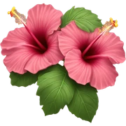 hibiscus sticker