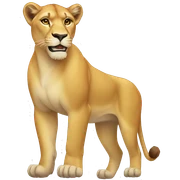 Lioness sticker