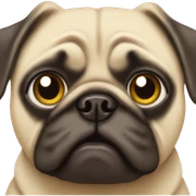 Pug sticker