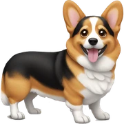 CORGI sticker