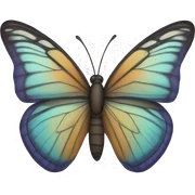 Butterfly  sticker
