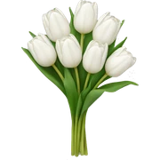 white tulip bouquet  sticker