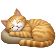cat sleeping sticker