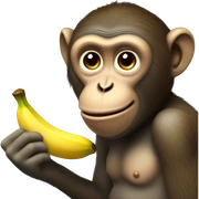 Monkey eating banana  sticker