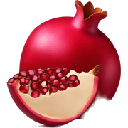 Pomegranate sticker