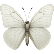 White butterfly  sticker