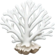 white coral sticker